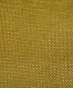 Cenci Modena 9552 yellow green