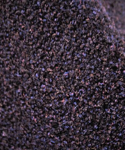 Kvadrat Outback 781 paars blauw