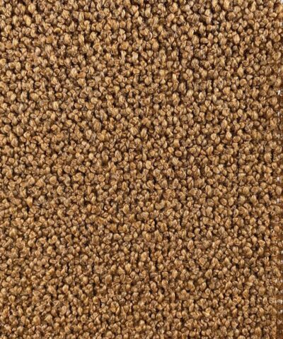 De Ploeg Monza 22 zacht oranje burnt orange