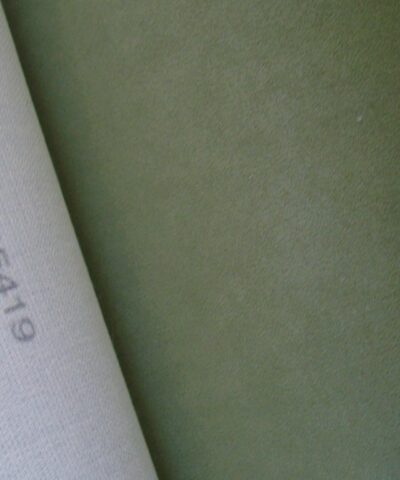 Alcantara 1385419 groen