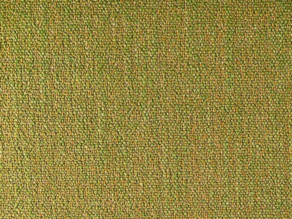 Montis Miura 22 groen camel