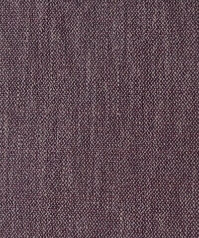 Wirtz Nardo 93 paars lila