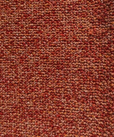 De Ploeg Taro 21 oranje tinten