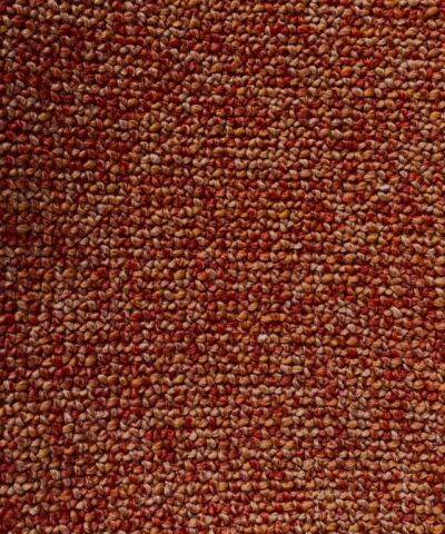 De Ploeg Taro 21 oranje tinten